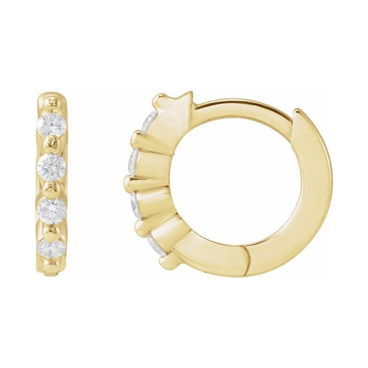 Accented Hinged Hoop Earrings
