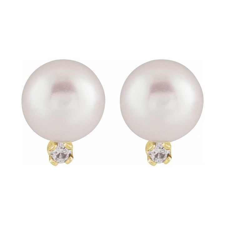 Accented Pearl Earrings