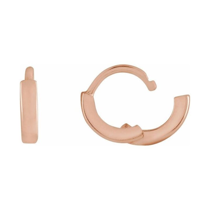 Hoop Earrings