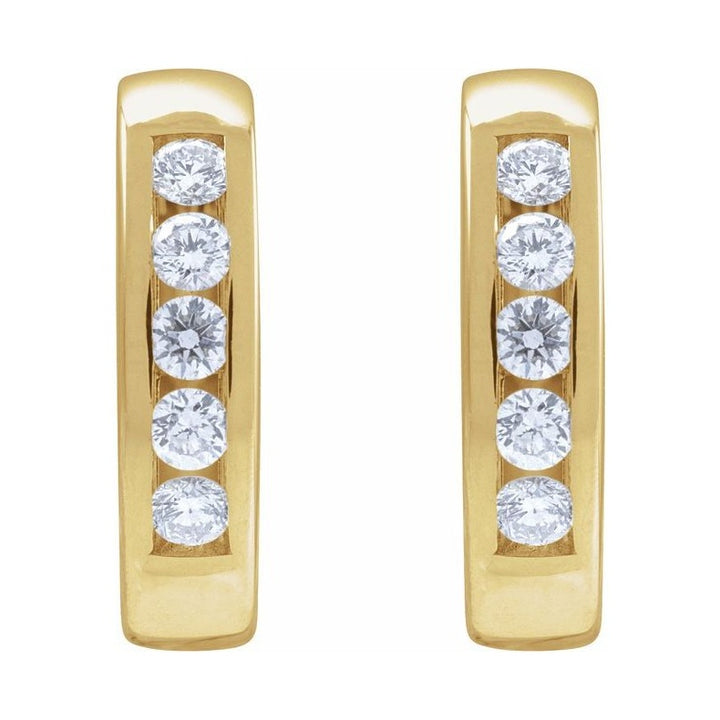 Hinged Hoop Earrings