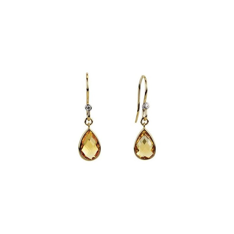 Accented Earrings