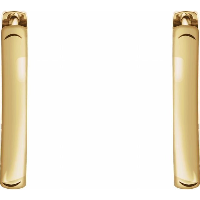 Hinged Hoop Earrings