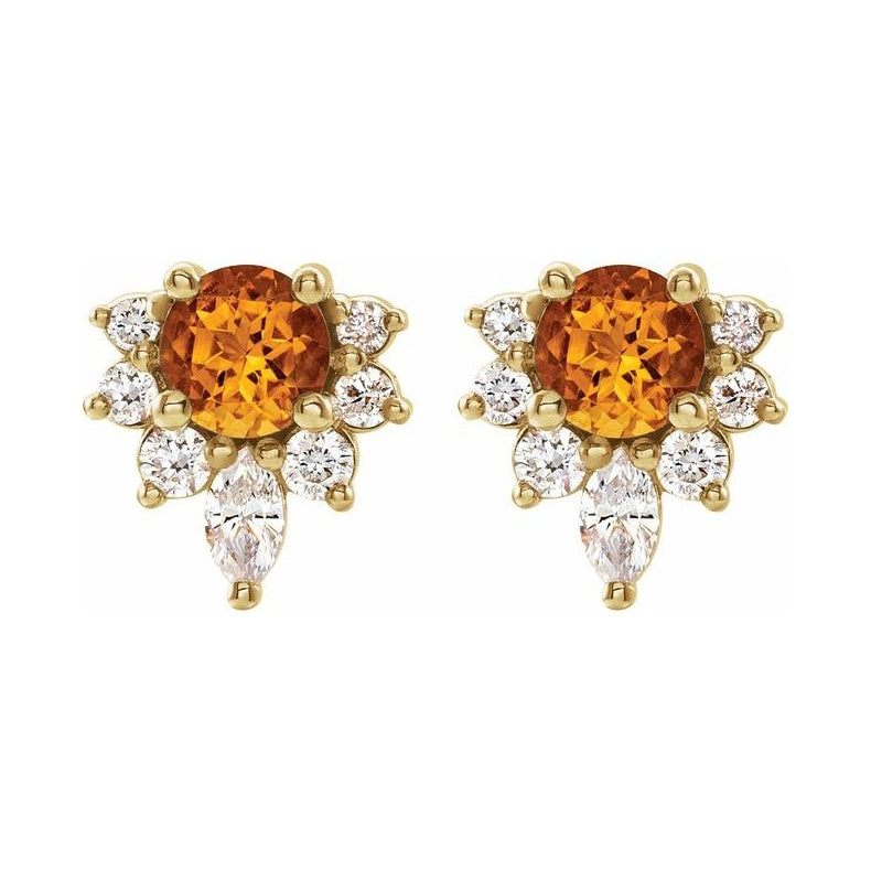 Accented Earrings