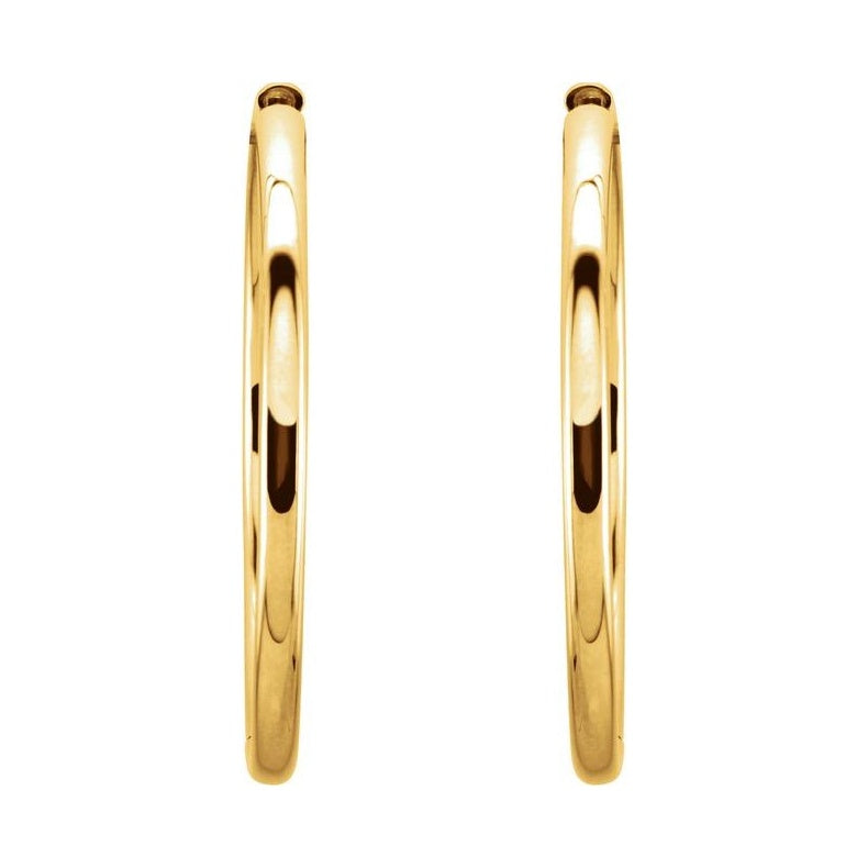 Hinged Hoop Earrings