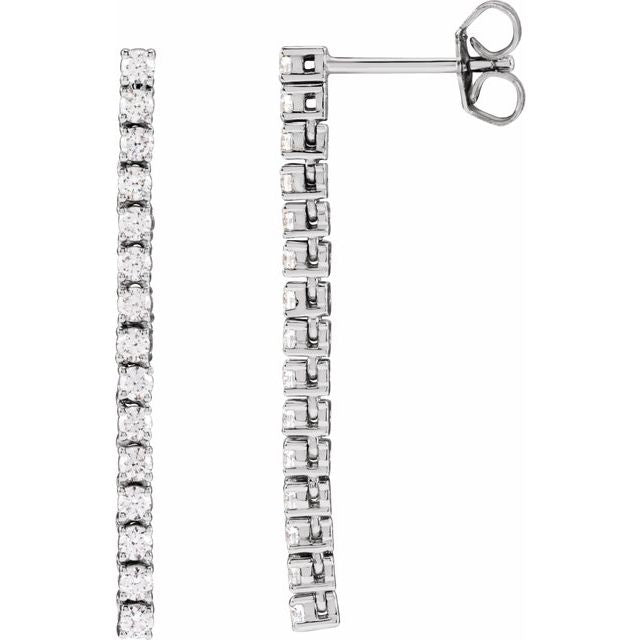 Accented Drop Earrings