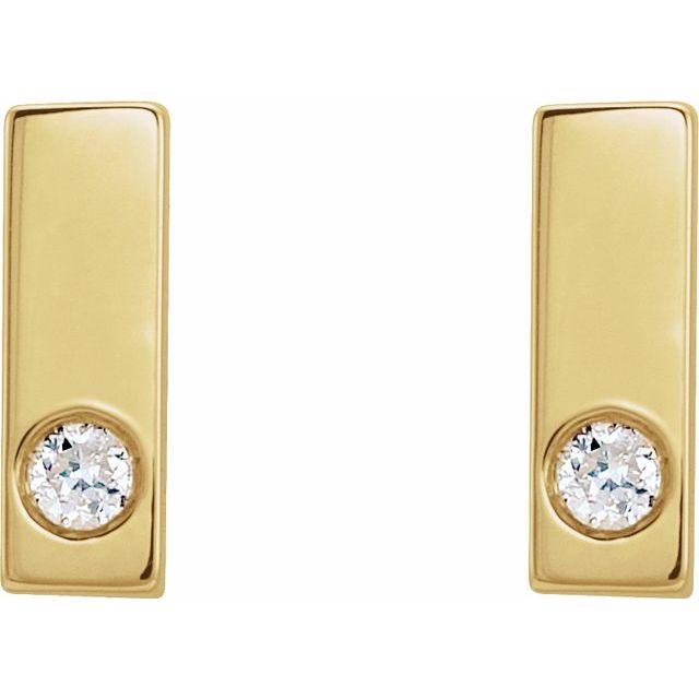 Accented Bar Earrings