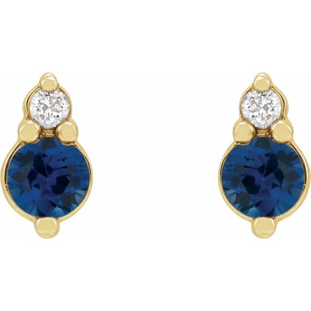 Accented Earrings