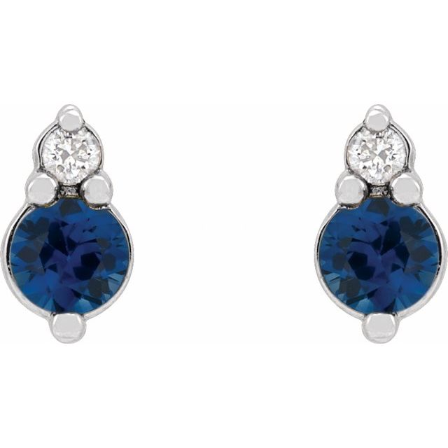 Accented Earrings