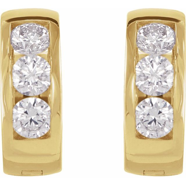 Hinged Hoop Earrings