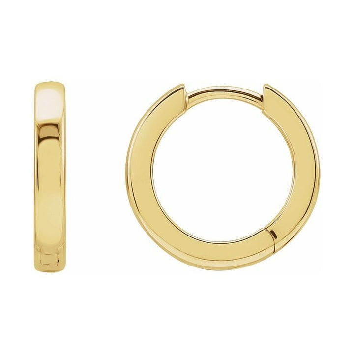 Hinged Hoop Earrings
