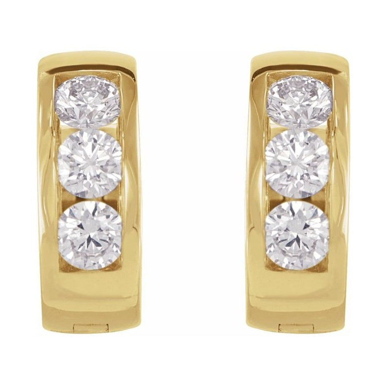 Hinged Hoop Earrings