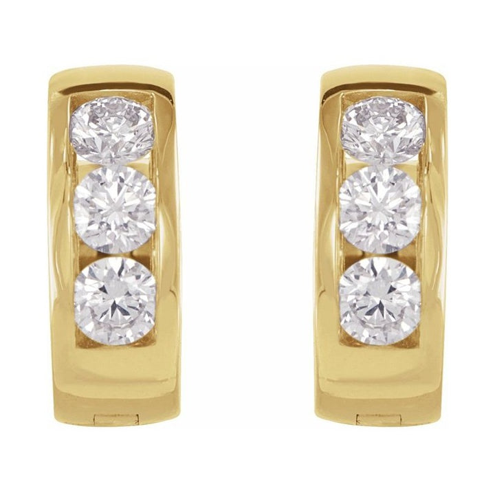 Hinged Hoop Earrings